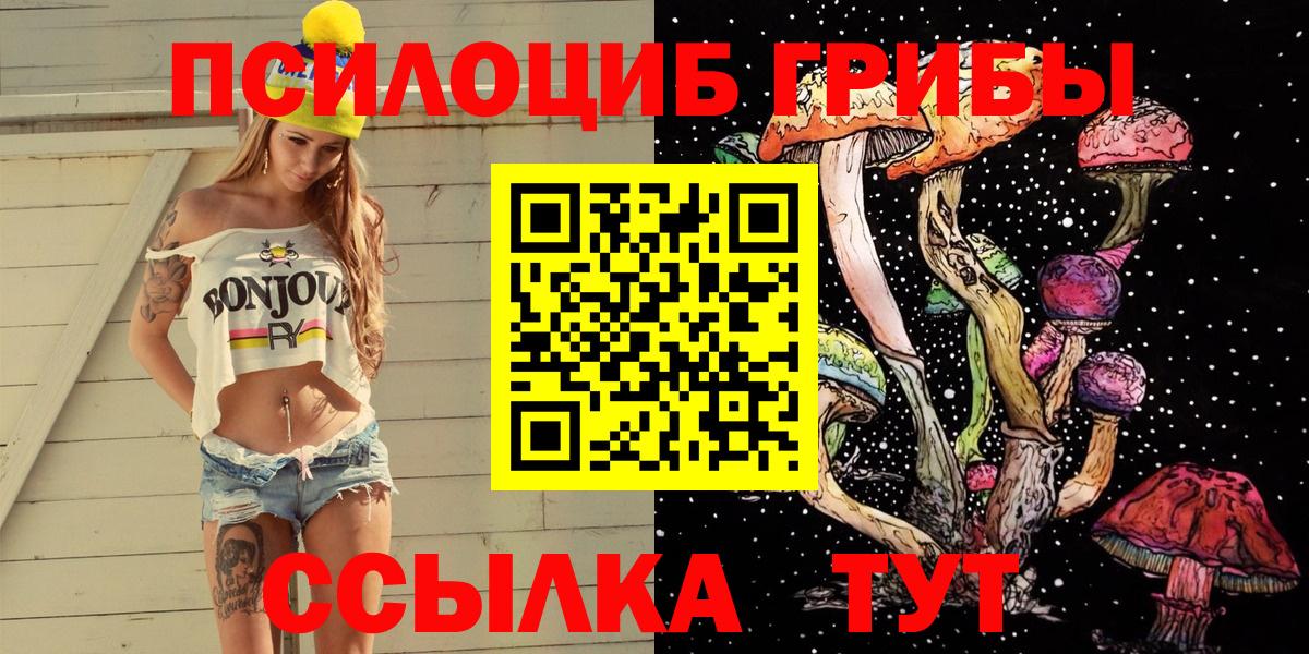 купить закладку  Псилоцибиновые грибы прущие грибы  Вход с VPN  Находка 